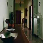 Valenziano 트라니